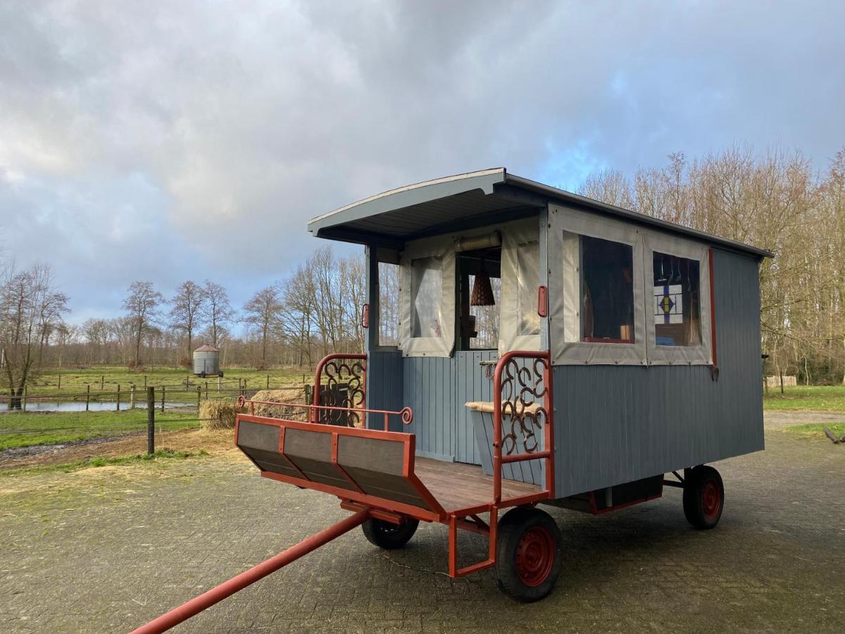 Camping De Bosrand Spier Luaran gambar